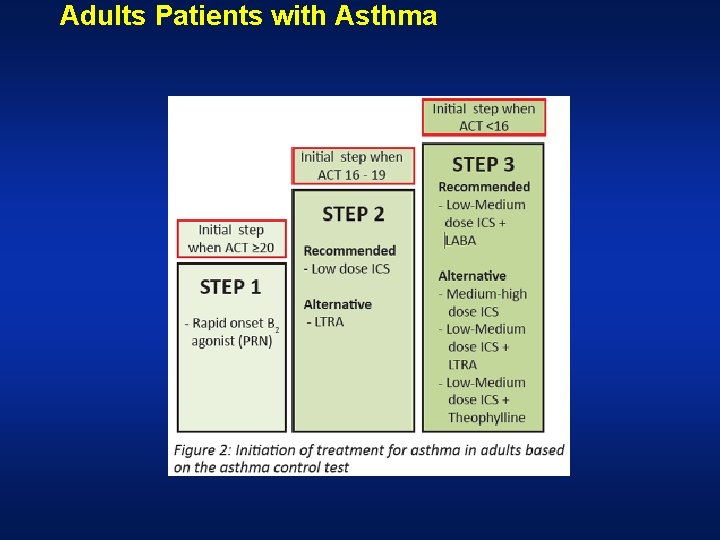 Adults Patients with Asthma 