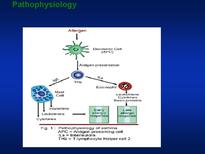 Pathophysiology 