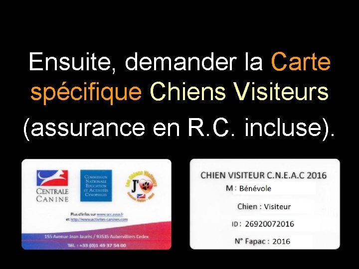 Ensuite, demander la Carte spécifique Chiens Visiteurs (assurance en R. C. incluse). 