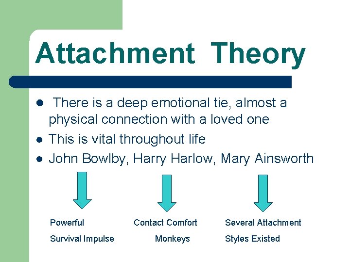 Attachment Theory l There is a deep emotional tie, almost a l l physical