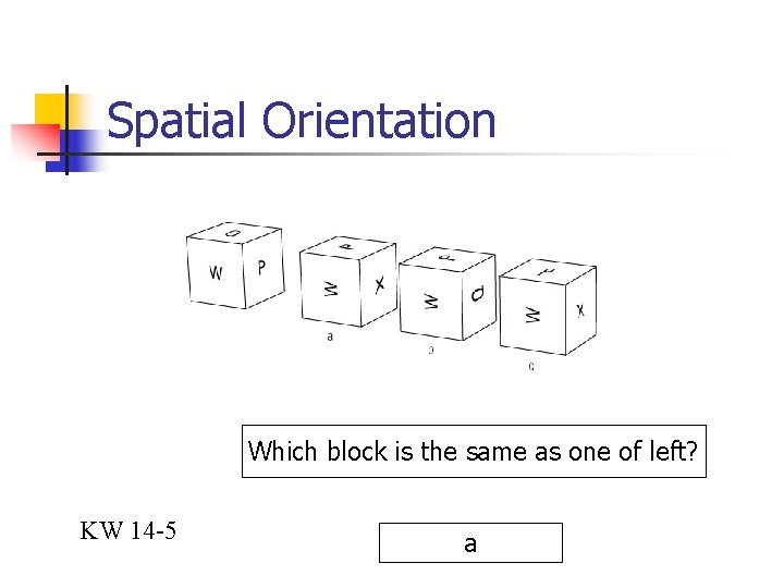 Spatial Orientation Which block is the same as one of left? KW 14 -5