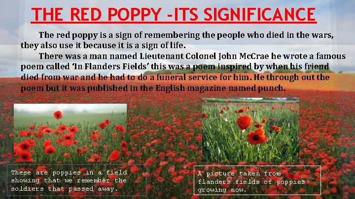 THE RED POPPY -ITS SIGNIFICANCE The red poppy is a sign of remembering the