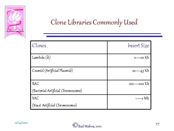 Clone Libraries Commonly Used Clones Insert Size Lambda (l) 2— 20 Kb Cosmid (Artificial
