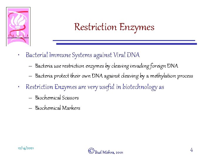 Restriction Enzymes • Bacterial Immune Systems against Viral DNA – Bacteria use restriction enzymes
