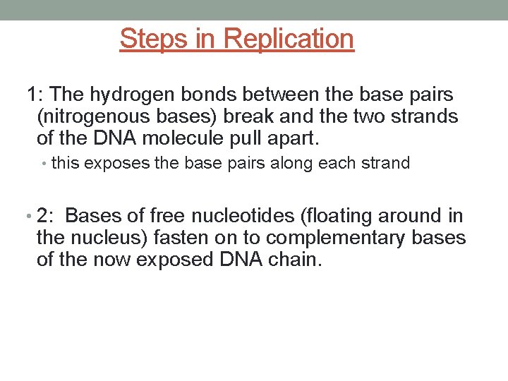Steps in Replication 1: The hydrogen bonds between the base pairs (nitrogenous bases) break