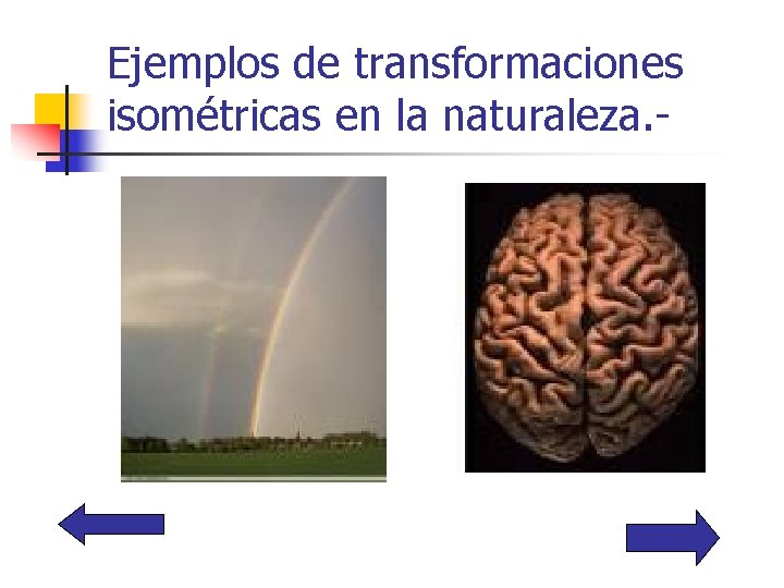 Ejemplos de transformaciones isométricas en la naturaleza. - 