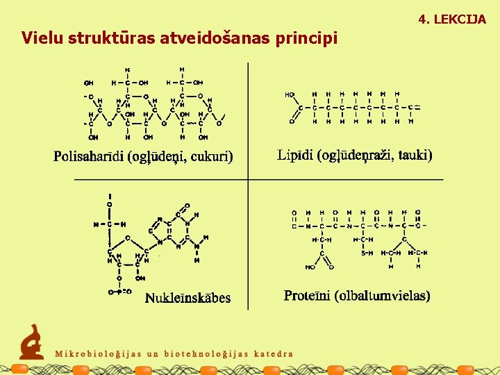 4. LEKCIJA Vielu struktūras atveidošanas principi 