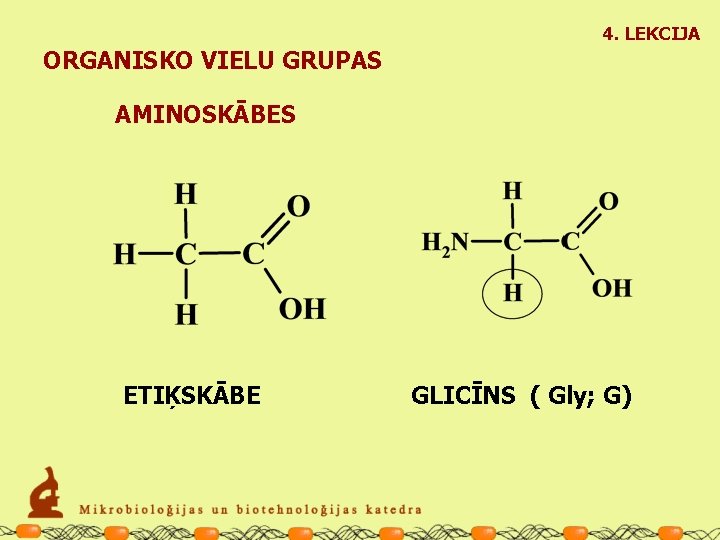 4. LEKCIJA ORGANISKO VIELU GRUPAS AMINOSKĀBES ETIĶSKĀBE GLICĪNS ( Gly; G) 