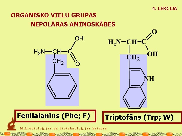 4. LEKCIJA ORGANISKO VIELU GRUPAS NEPOLĀRAS AMINOSKĀBES Fenilalanīns (Phe; F) Triptofāns (Trp; W) 