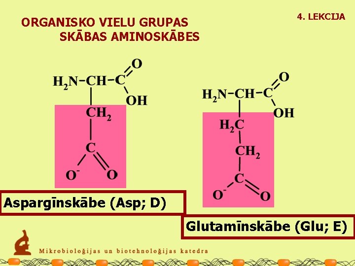 ORGANISKO VIELU GRUPAS SKĀBAS AMINOSKĀBES 4. LEKCIJA Aspargīnskābe (Asp; D) Glutamīnskābe (Glu; E) 