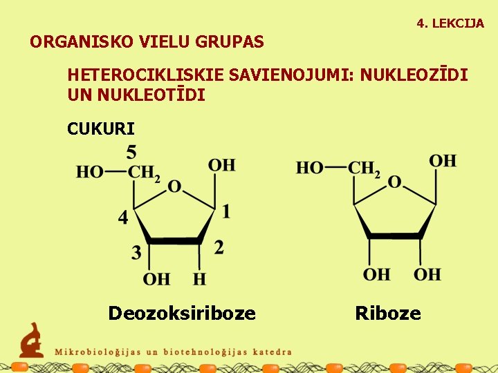 4. LEKCIJA ORGANISKO VIELU GRUPAS HETEROCIKLISKIE SAVIENOJUMI: NUKLEOZĪDI UN NUKLEOTĪDI CUKURI Deozoksiriboze Riboze 