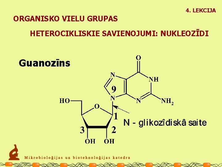 4. LEKCIJA ORGANISKO VIELU GRUPAS HETEROCIKLISKIE SAVIENOJUMI: NUKLEOZĪDI Guanozīns 