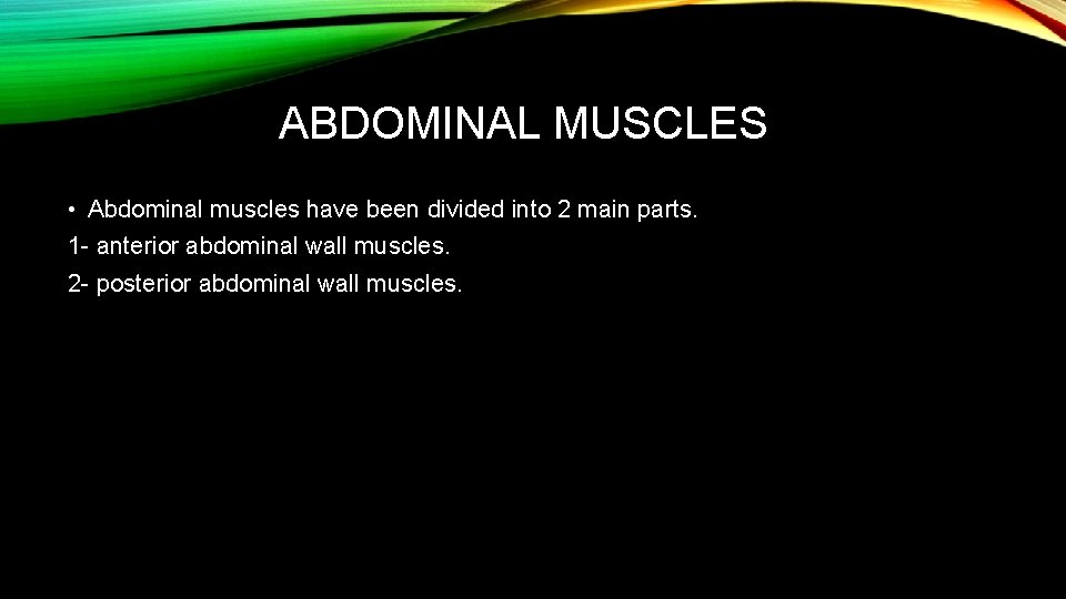 ABDOMINAL MUSCLES • Abdominal muscles have been divided into 2 main parts. 1 -