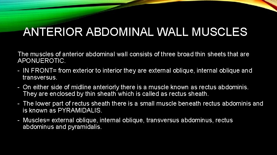 ANTERIOR ABDOMINAL WALL MUSCLES The muscles of anterior abdominal wall consists of three broad