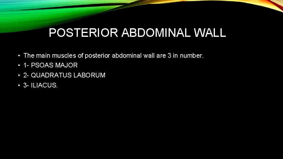 POSTERIOR ABDOMINAL WALL • The main muscles of posterior abdominal wall are 3 in