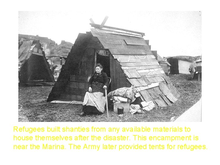 Refugees built shanties from any available materials to house themselves after the disaster. This
