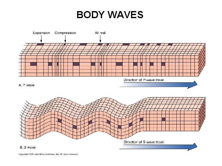 BODY WAVES 