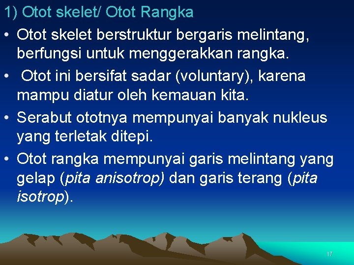 1) Otot skelet/ Otot Rangka • Otot skelet berstruktur bergaris melintang, berfungsi untuk menggerakkan