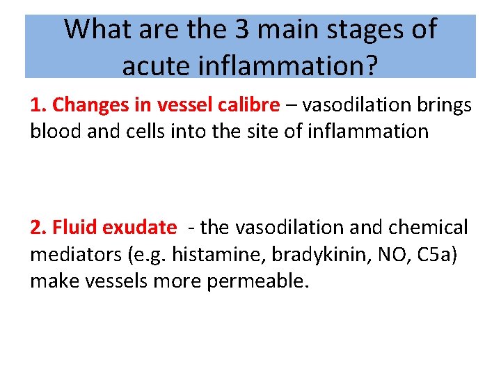 What are the 3 main stages of acute inflammation? 1. Changes in vessel calibre