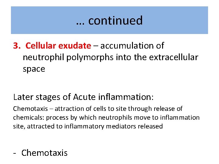 … continued 3. Cellular exudate – accumulation of neutrophil polymorphs into the extracellular space