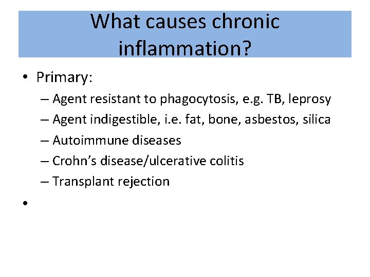 What causes chronic inflammation? • Primary: – Agent resistant to phagocytosis, e. g. TB,