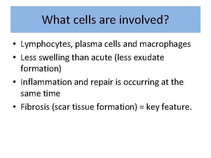 What cells are involved? • Lymphocytes, plasma cells and macrophages • Less swelling than