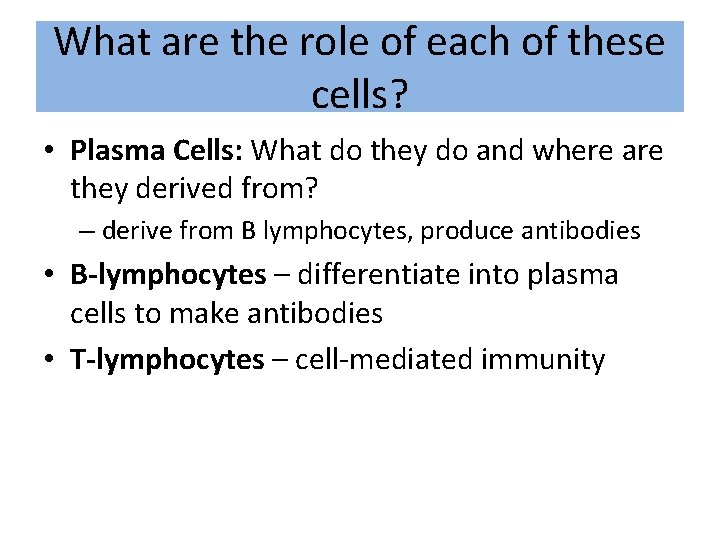 What are the role of each of these cells? • Plasma Cells: What do