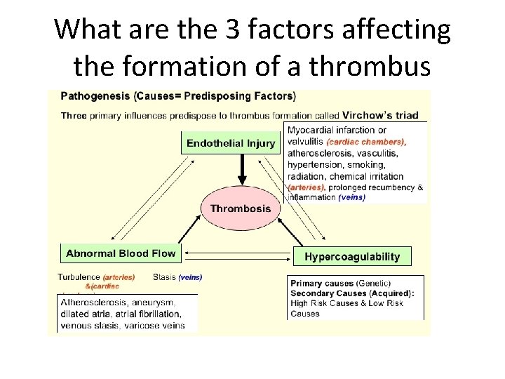 What are the 3 factors affecting the formation of a thrombus 