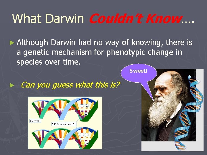 What Darwin Couldn’t Know…. ► Although Darwin had no way of knowing, there is