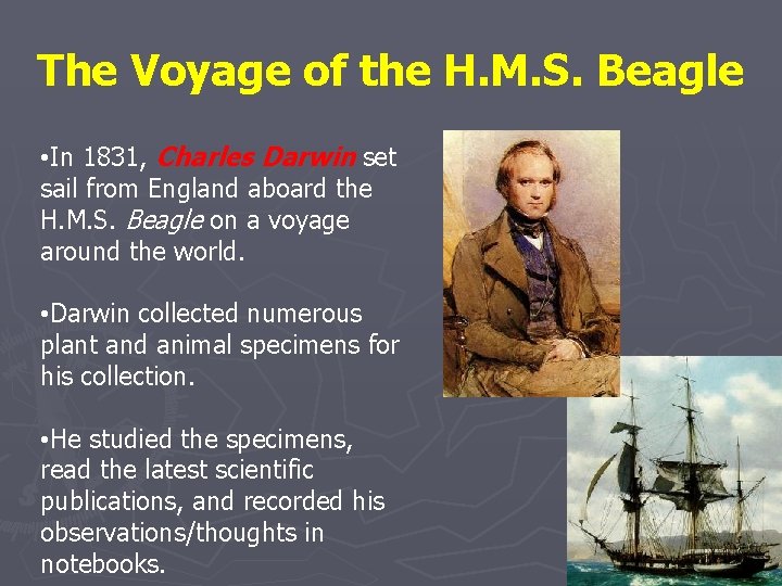 The Voyage of the H. M. S. Beagle • In 1831, Charles Darwin set