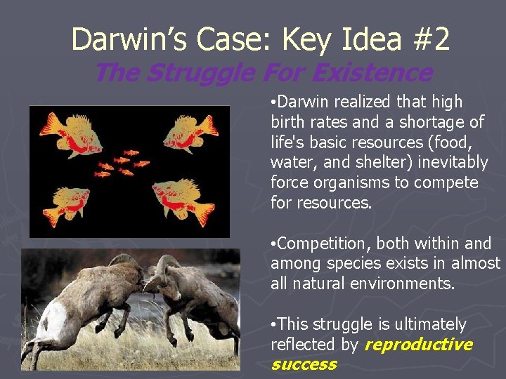 Darwin’s Case: Key Idea #2 The Struggle For Existence • Darwin realized that high