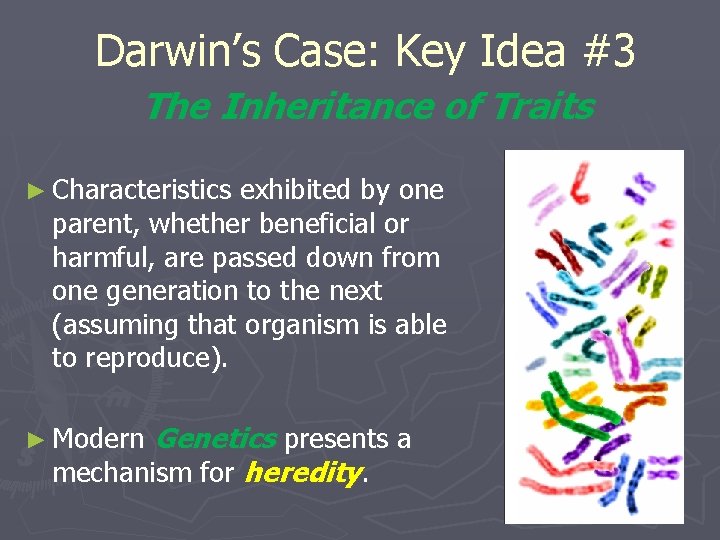 Darwin’s Case: Key Idea #3 The Inheritance of Traits ► Characteristics exhibited by one