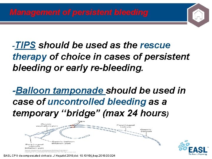 Management of persistent bleeding -TIPS should be used as the rescue therapy of choice