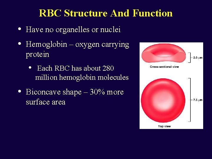 RBC Structure And Function • • Have no organelles or nuclei Hemoglobin – oxygen