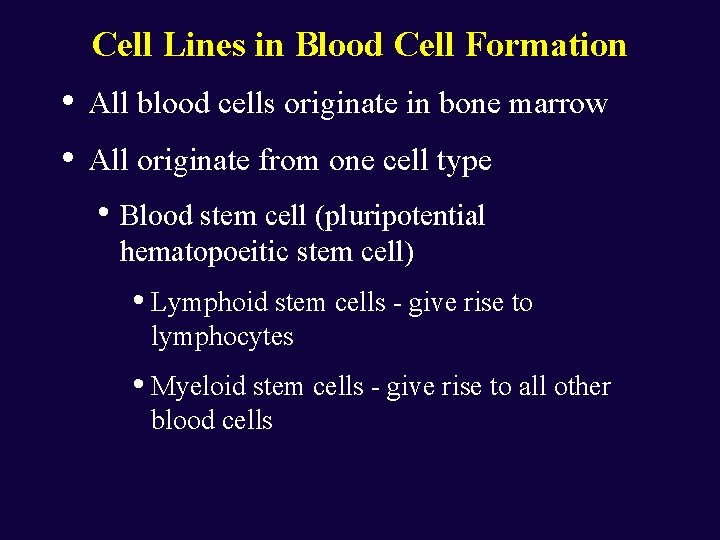 Cell Lines in Blood Cell Formation • • All blood cells originate in bone