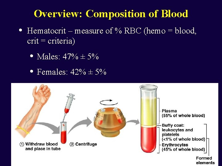 Overview: Composition of Blood • Hematocrit – measure of % RBC (hemo = blood,