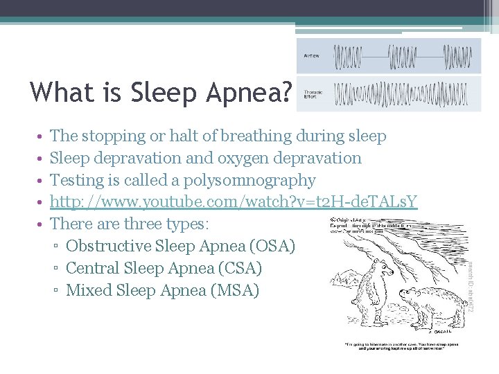 What is Sleep Apnea? • • • The stopping or halt of breathing during