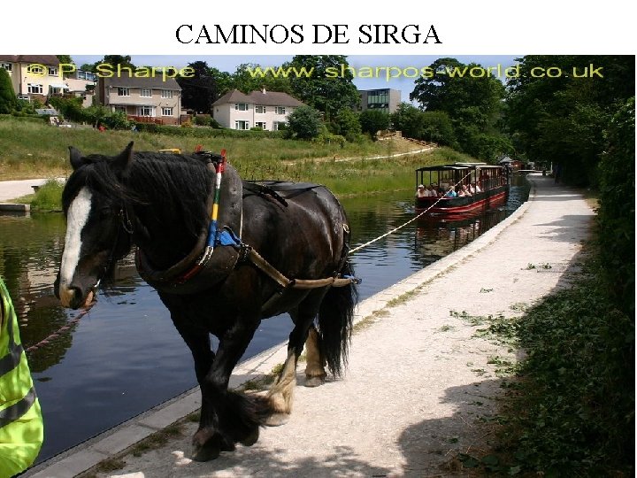 CAMINOS DE SIRGA 