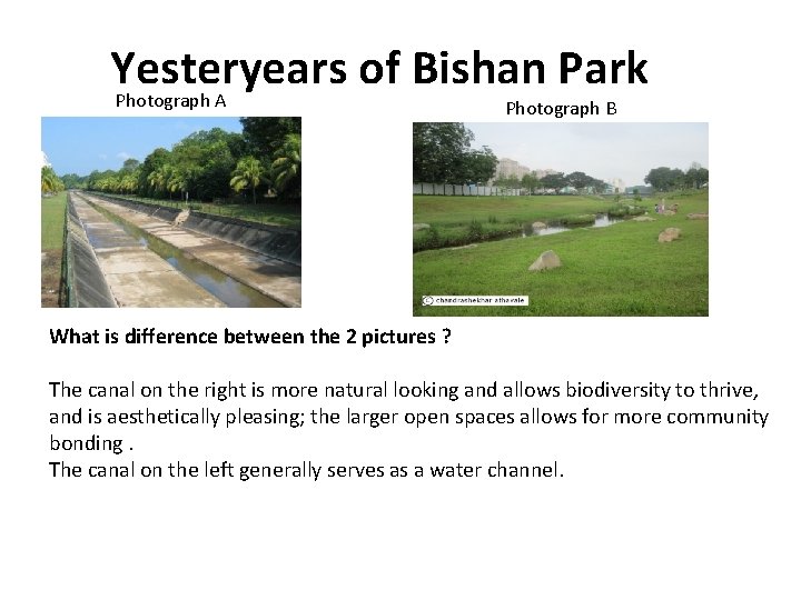 Yesteryears of Bishan Park Photograph A Photograph B What is difference between the 2