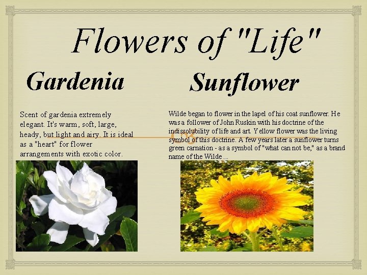 Flowers of "Life" Gardenia Scent of gardenia extremely elegant. It's warm, soft, large, heady,