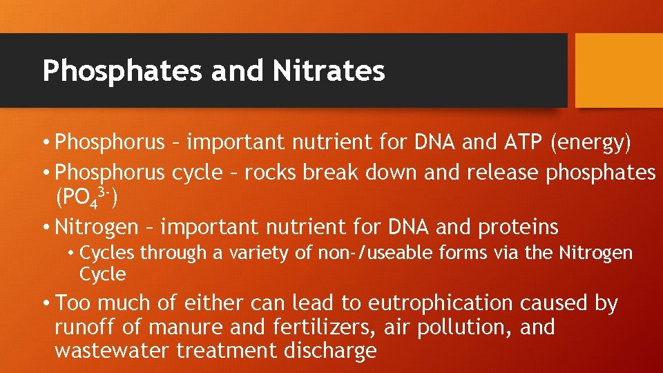 Phosphates and Nitrates • Phosphorus – important nutrient for DNA and ATP (energy) •