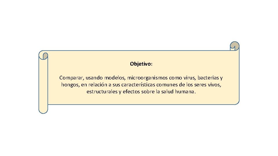 Objetivo: Comparar, usando modelos, microorganismos como virus, bacterias y hongos, en relación a sus