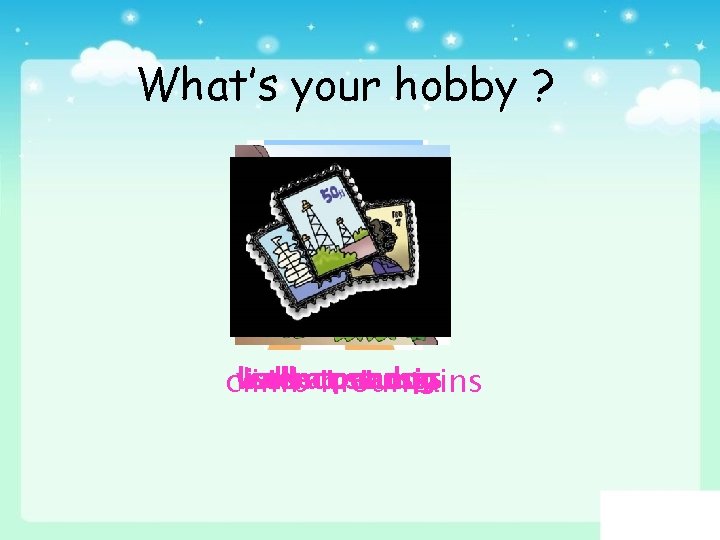 What’s your hobby ? collect stamps walk listen ato pet music dog climb mountains