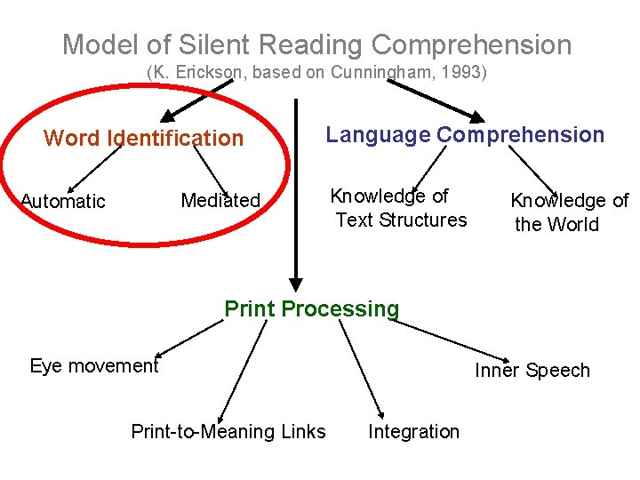 Model of Silent Reading Comprehension (K. Erickson, based on Cunningham, 1993) Word Identification Language