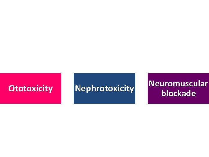 Ototoxicity Nephrotoxicity Neuromuscular blockade 