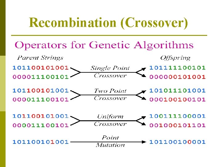 Recombination (Crossover) 