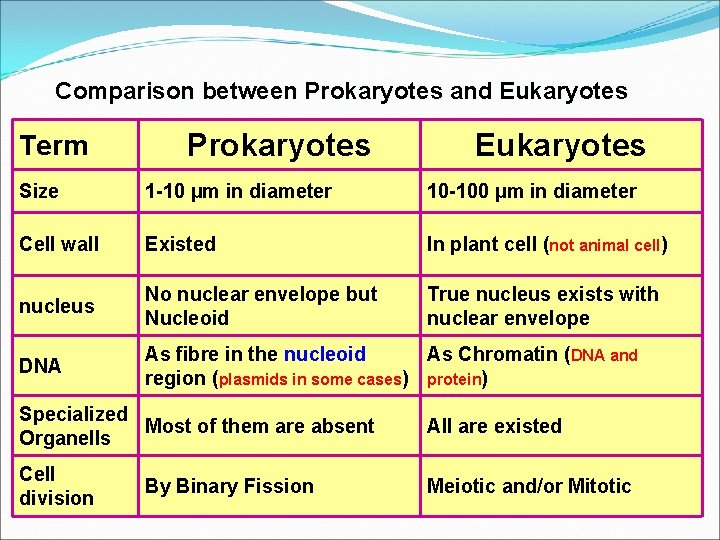 Comparison between Prokaryotes and Eukaryotes Term Prokaryotes Eukaryotes Size 1 -10 µm in diameter
