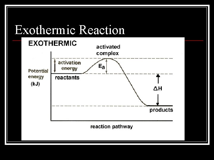 Exothermic Reaction 