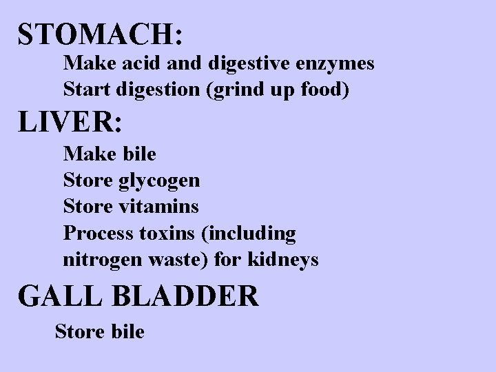 STOMACH: Make acid and digestive enzymes Start digestion (grind up food) LIVER: Make bile