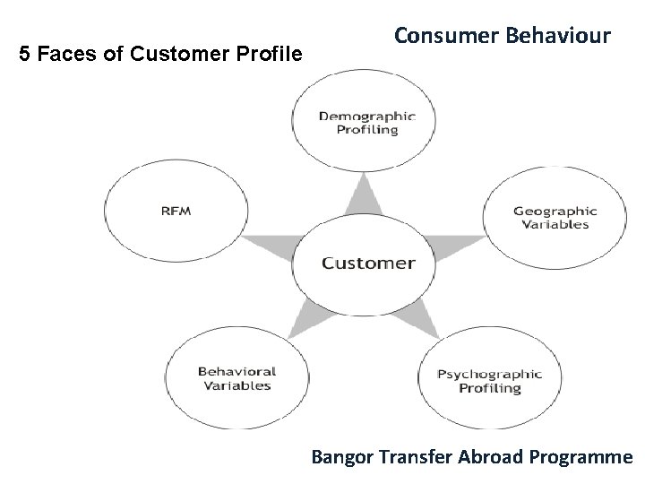 5 Faces of Customer Profile Consumer Behaviour Bangor Transfer Abroad Programme 